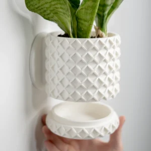 Bubble Lattice Wall Planter